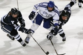 开云体育-张本智和手感滚烫，带领利雅得新月惊险密尔沃基雄鹿，赛后一句话霸气侧漏